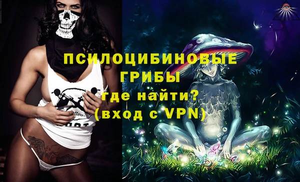 ALPHA PVP Покров
