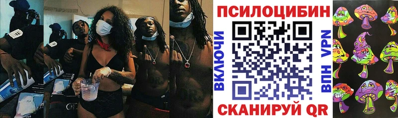 дарнет шоп  Сосновоборск  Псилоцибиновые грибы MAGIC MUSHROOMS 